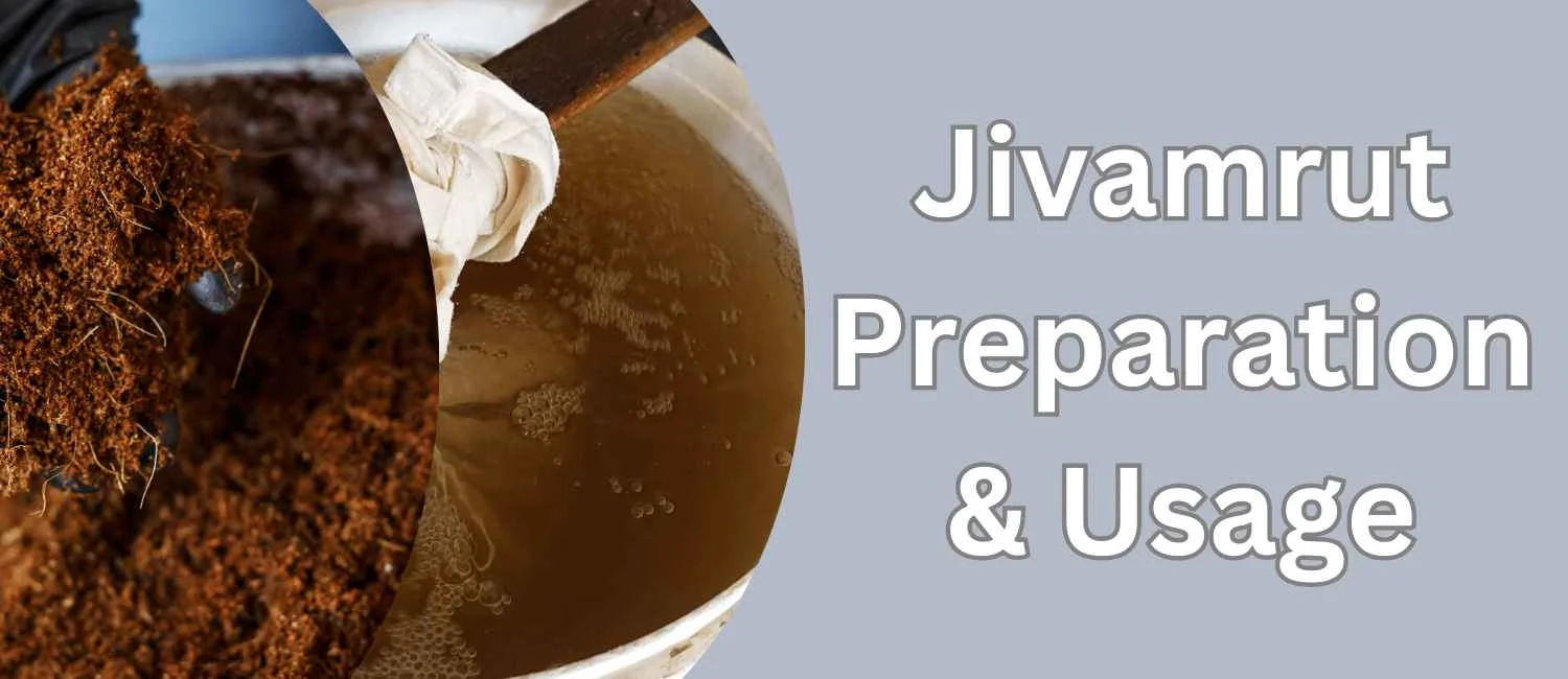 Liquid & Ghan Jivamrut Preparation