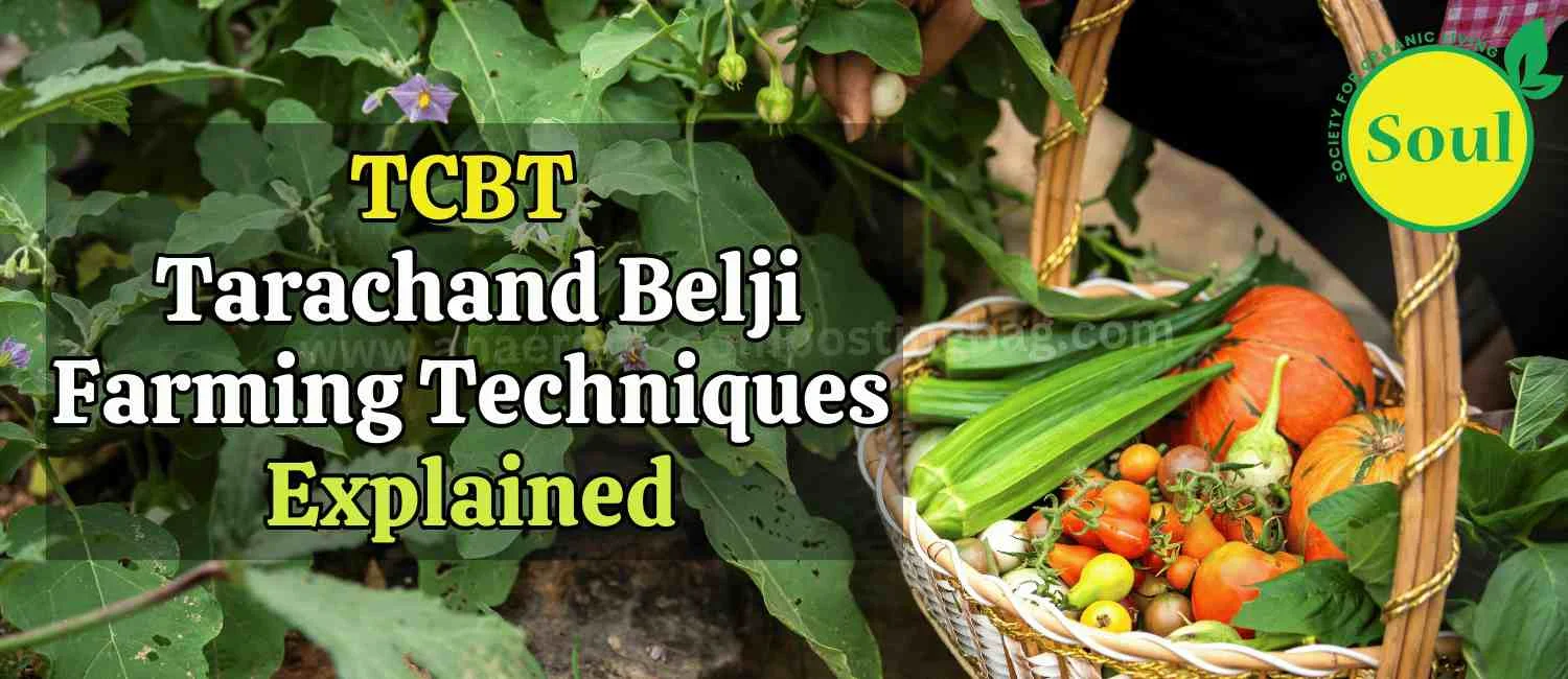TCBT-Tarachand-Belji-Farming-methods