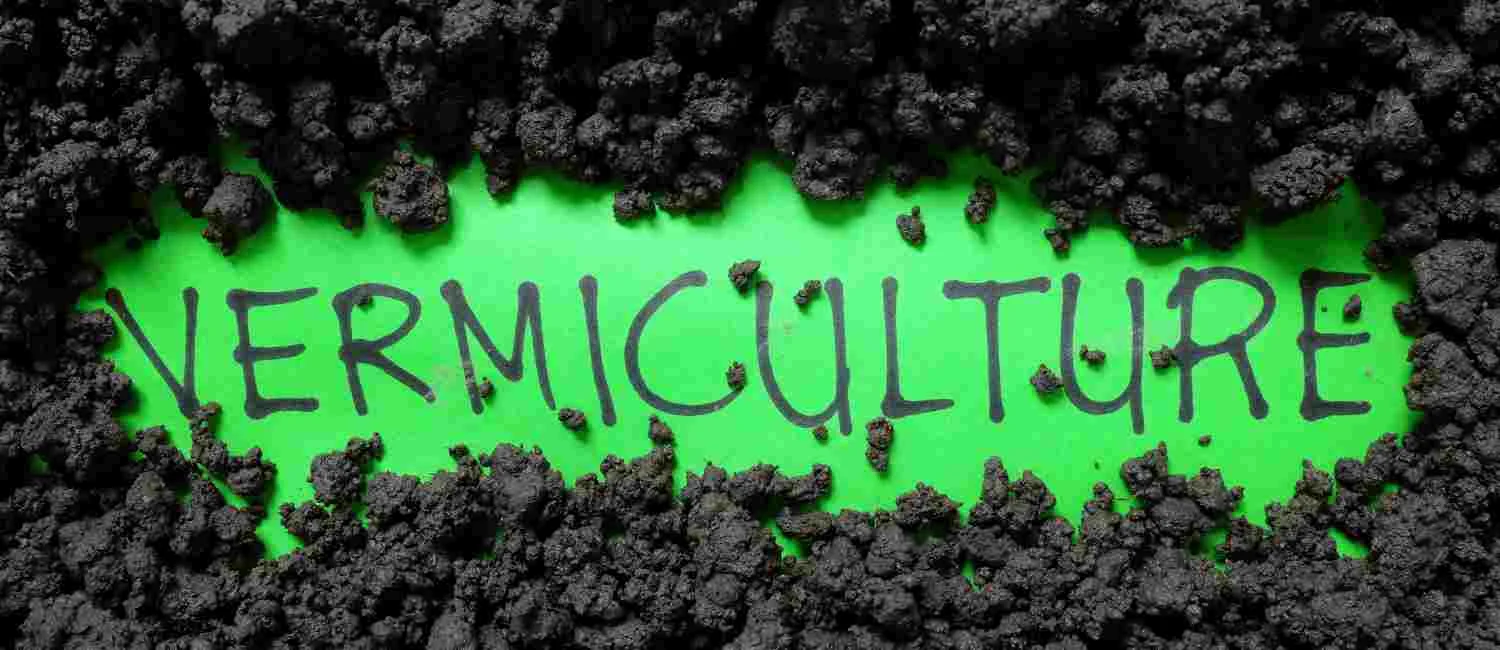 vermicompost
