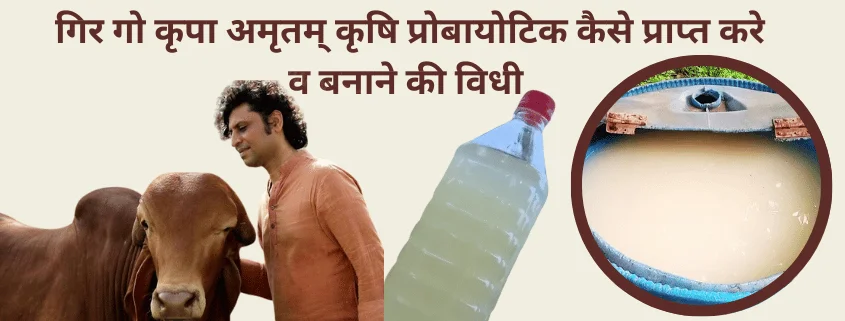 गिर गो कृपा अमृतम् कृषि प्रोबायोटिक