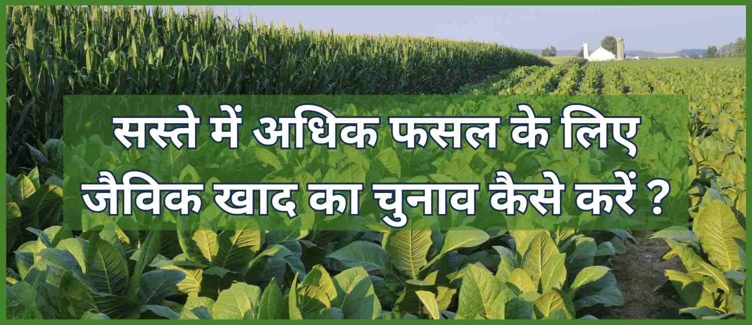 जैविक खाद का चुनाव