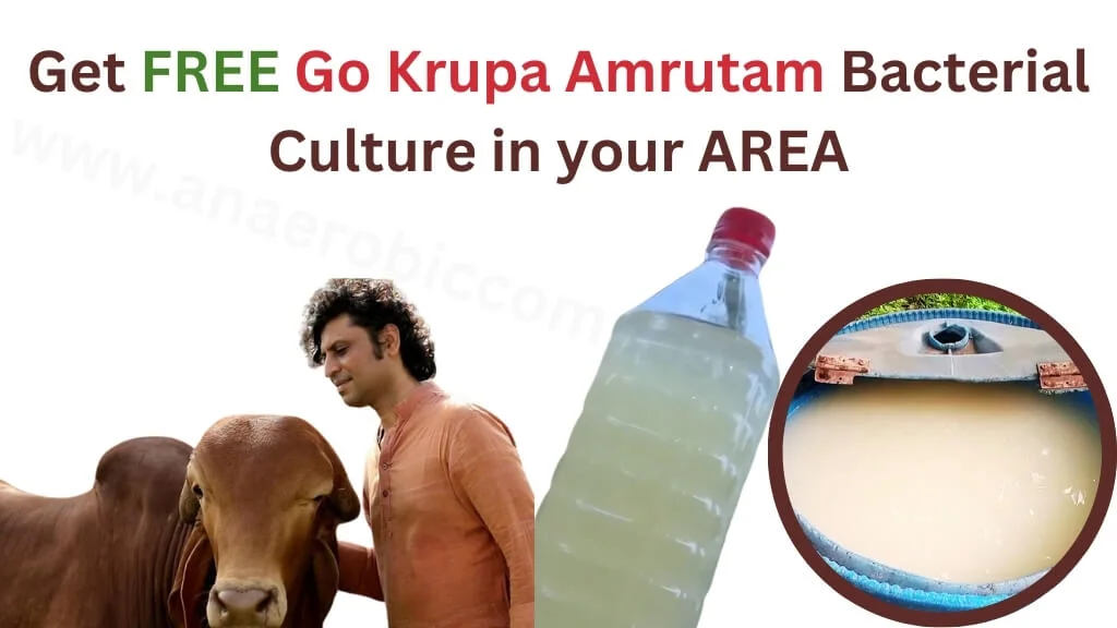 Gau krupa amrutam bacterial culture
