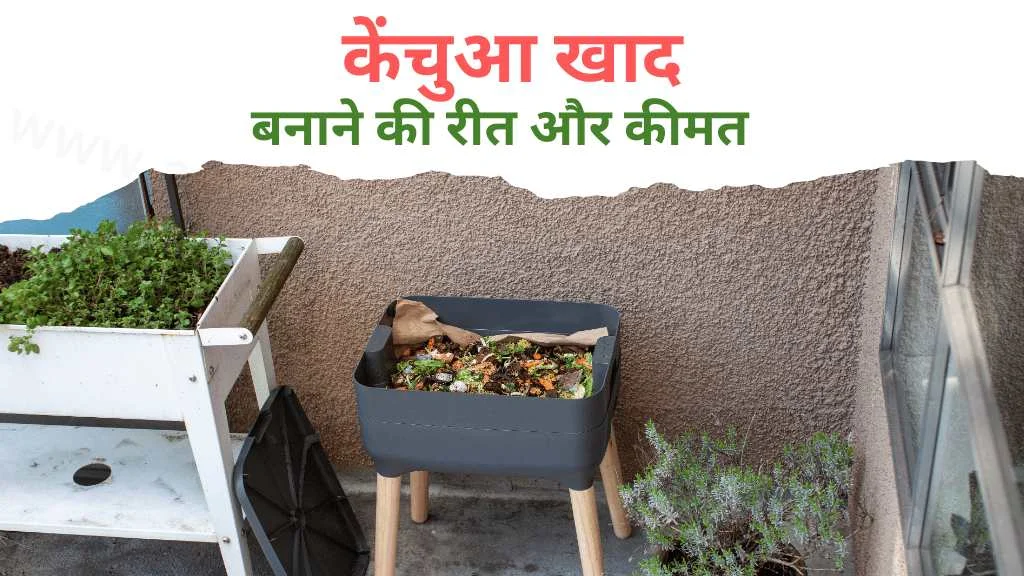 केंचुआ खाद कैसे बनाए