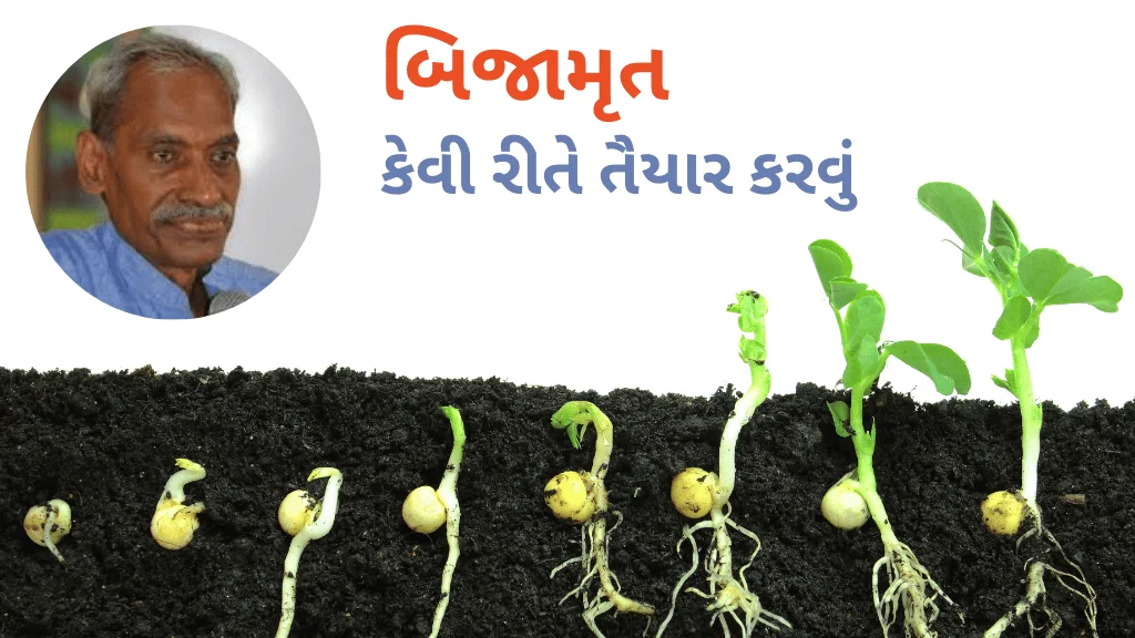 બિજામૃત કેવી રીતે તૈયાર કરવું