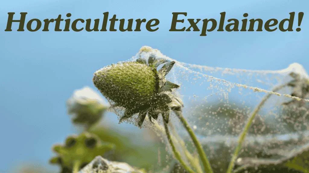 Horticulture crop