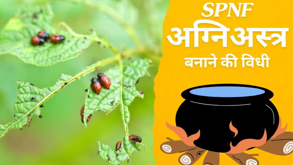 SPNF अग्निअस्त्र (Agnistra) अग्निअस्त्र