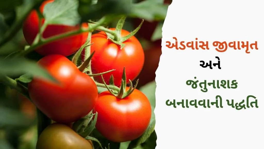 એડવાંસ જીવામૃત અને બાયો જંતુનાશક
