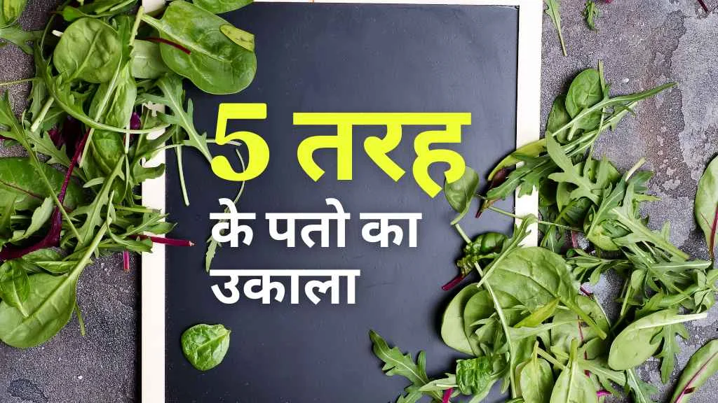 jaivik fertilizer making from leaves
