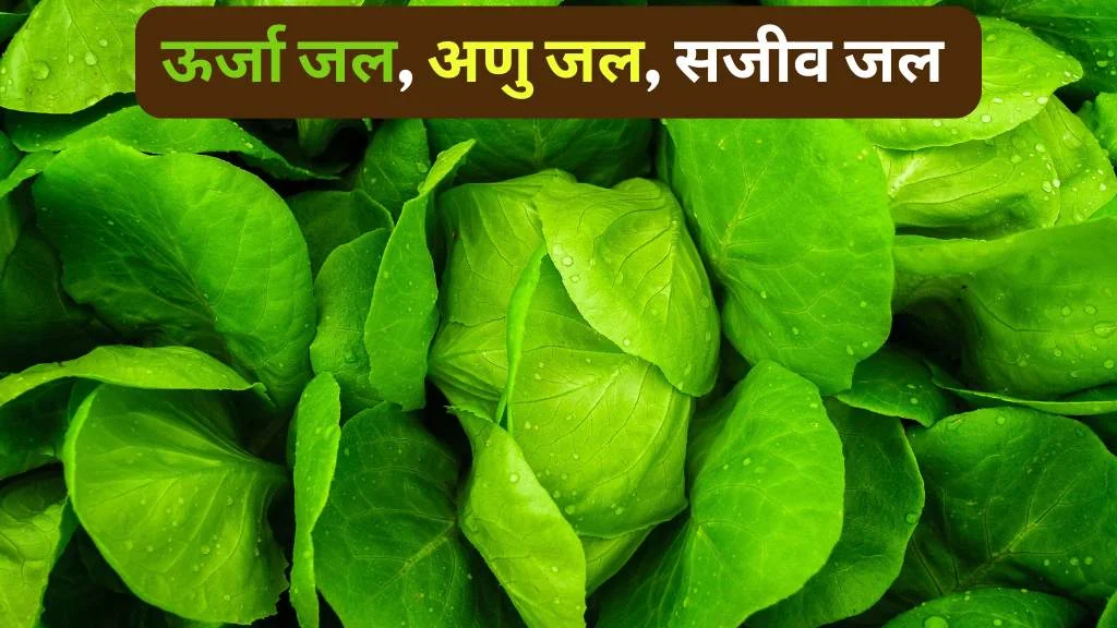 अनु जल, ऊर्जा जल, सजीव जल