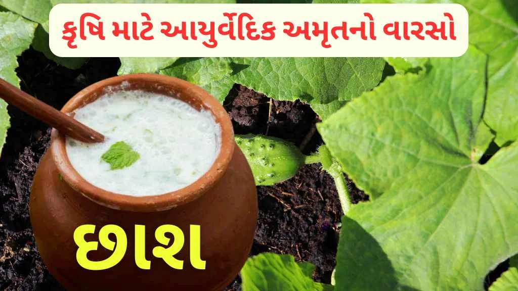 છાંછ નું ખાતર