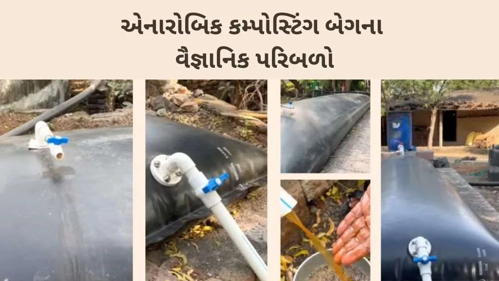 scientific fators of compost bag