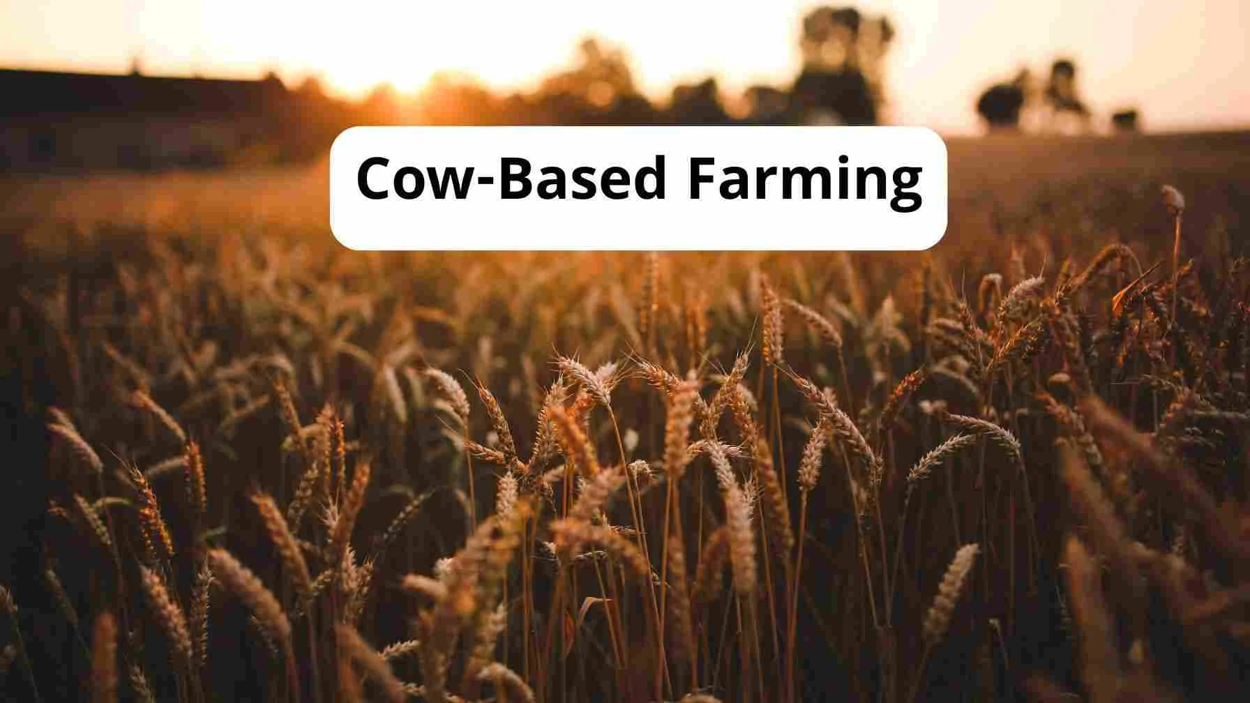 Cow Based Farming