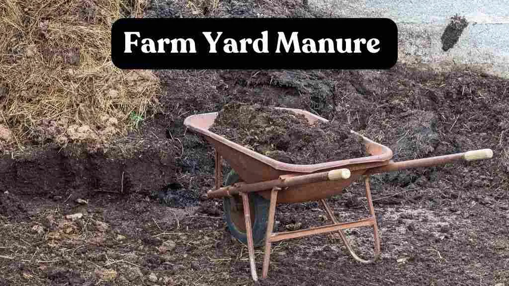 Farm Yard Manure(FYM) Organic Fertilizer