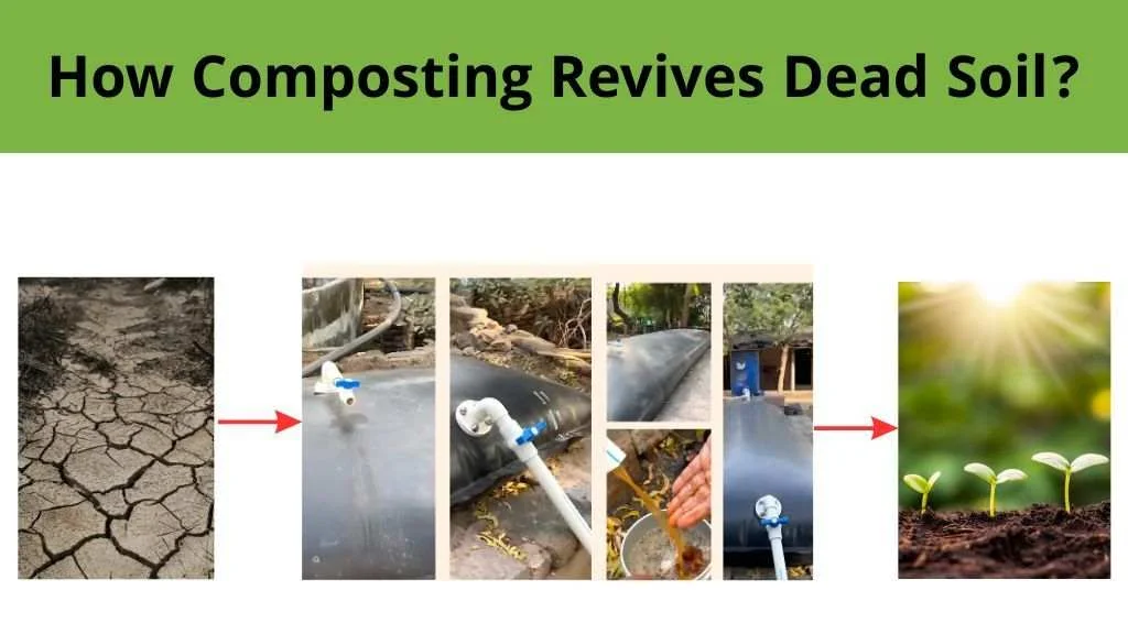 How Composting Revives Dead Soil