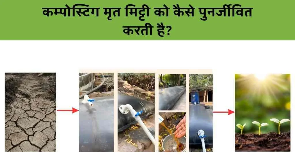 How compost revive dead soil How compost revive dead soil 1