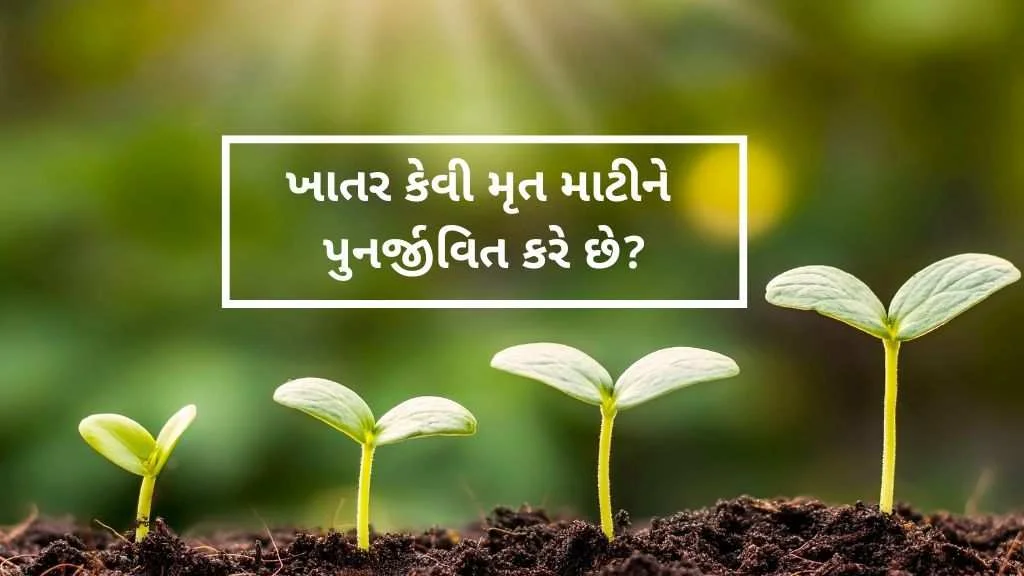 Composting revives dead soil